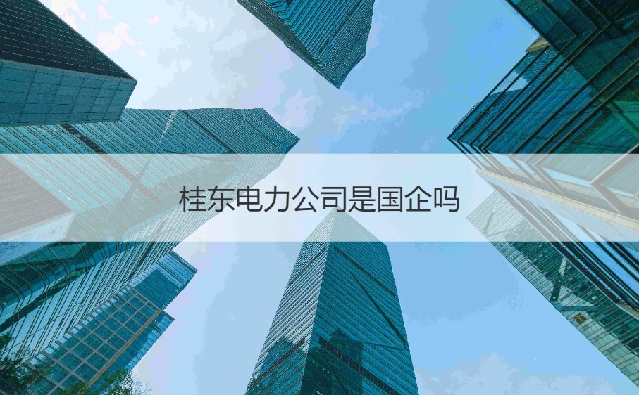 桂东电力公司是国企吗 桂东电力2020招聘